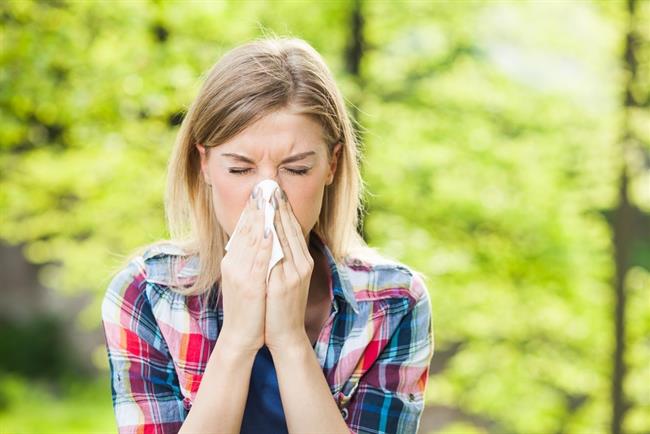 Sixt recomienda a los conductores con alergia revisar el filtro de aire