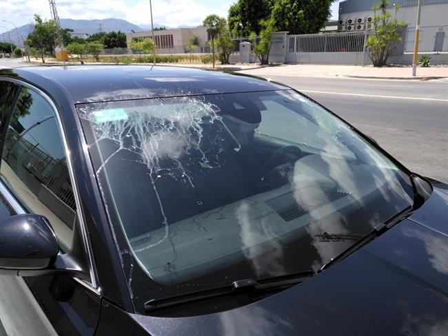 Los taxistas de Málaga decidirán esta tarde si siguen la huelga y rechazan la "provocación" de Unauto