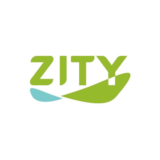 Ferrovial y Renault lanzan en diciembre su nuevo servicio de 'car sharing' Zity en Madrid