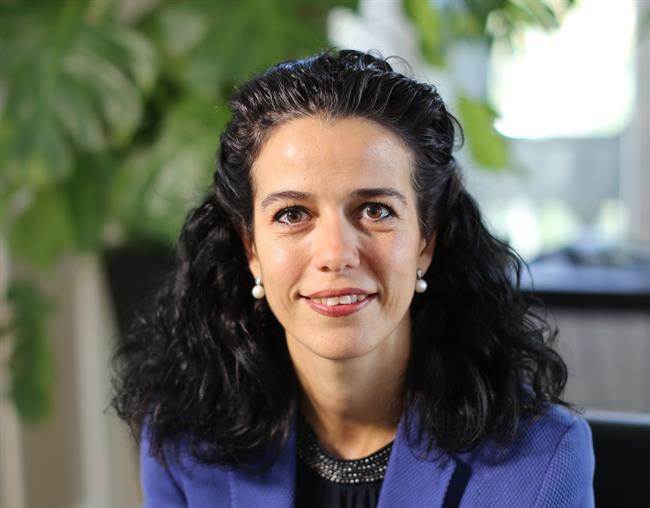 Gestamp nombra directora financiera a Carmen de Pablo