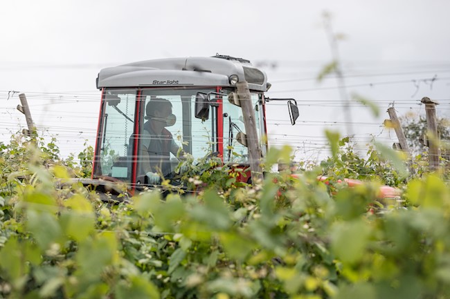 Faconauto prevé un año "difícil" para el mercado de maquinaria agrícola, que caerá un 25%
