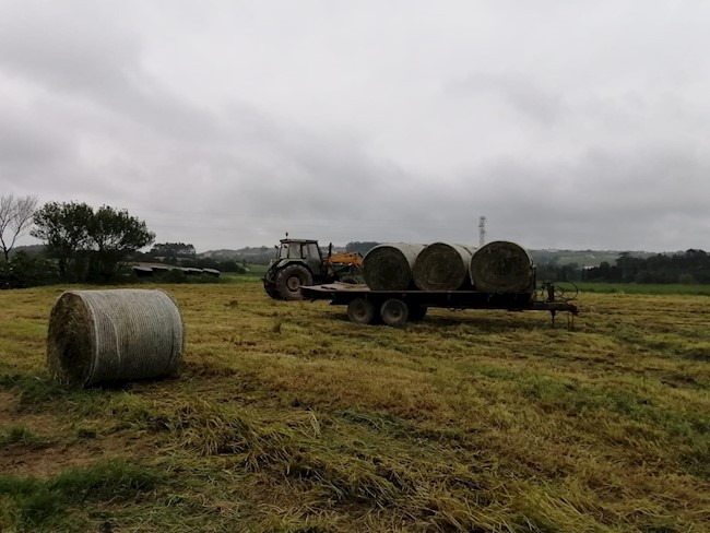 Sumauto pide que el PIMA considere la "asfixia económica" del campo y dé ayudas a maquinaria de ocasión