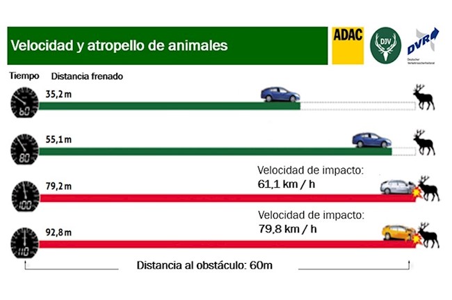 Casi un 90% de los conductores españoles afirma haberse encontrado un animal en la vía, según el RACE