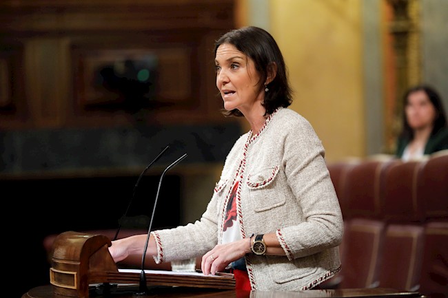 Industria asegura que el Renove "lleva su tiempo" y que se están ultimando los detalles