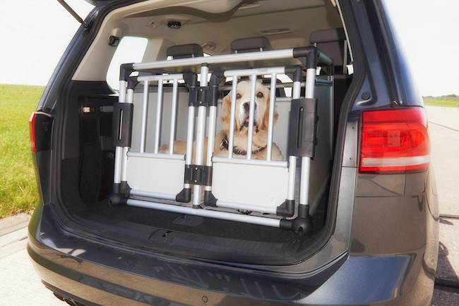 Un 12% de los españoles que viaja con animales en el coche lo hace sin ningún sistema de seguridad