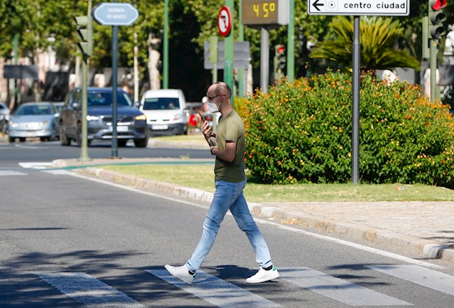 Ocho de cada diez atropellos de peatón son responsabilidad del conductor, según Acierto.com