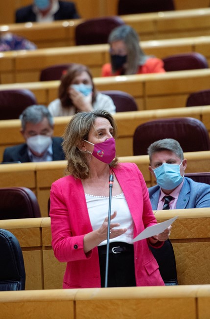 Ribera cree que la congelación de la subida del impuesto de matriculación es un "regalo demagógico"