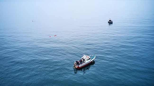 Hyundai apoya a Healthy Seas para recuperar redes de pesca abandonadas en Reino Unido