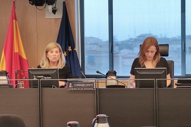 Faconauto aboga por un modelo de deducciones fiscales directas para impulsar el vehículo eléctrico