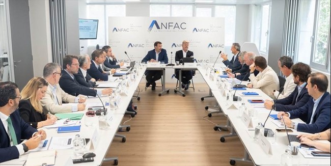 Anfac ratifica en su junta directiva la adhesión de BYD y DSFK
