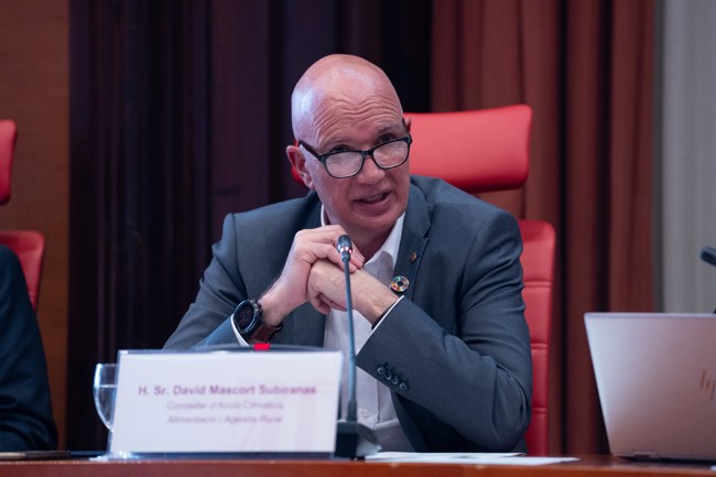 La Generalitat amplía en 65 millones el presupuesto de Moves III sobre movilidad eléctrica
