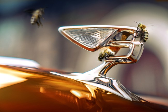 Bentley abandona su objetivo de electrificación y seguirá vendiendo híbridos enchufables hasta 2035
