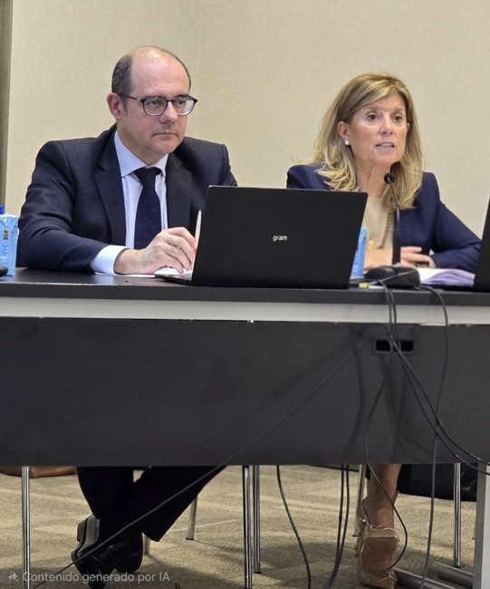 Faconauto espera que el Gobierno amplíe sus fondos para cubrir todas las operaciones del Plan Moves