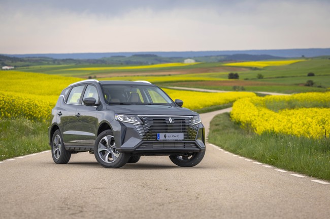 Cetelem y Livan firman un acuerdo para proveer servicios de financiación de 'stocks' para concesionarios